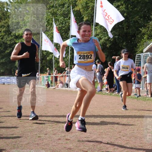 08.09.2024 - Airport Race Strokosch-Dieckow http://msf.ph/oto/6978676 08.09.2024 12:11:27 Ziel 446, 2717, 2891, 2892, 3039 meine-sportfotos.de