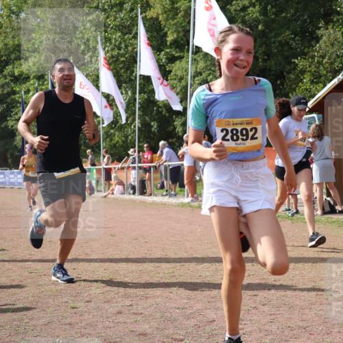 08.09.2024 - Airport Race Strokosch-Dieckow http://msf.ph/oto/6978680 08.09.2024 12:11:27 Ziel 446, 2717, 2891, 2892, 3039 meine-sportfotos.de