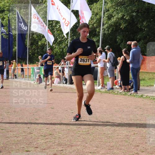 08.09.2024 - Airport Race Strokosch-Dieckow http://msf.ph/oto/6978732 08.09.2024 12:11:40 Ziel 2585, 2631, 2680, 2818 meine-sportfotos.de