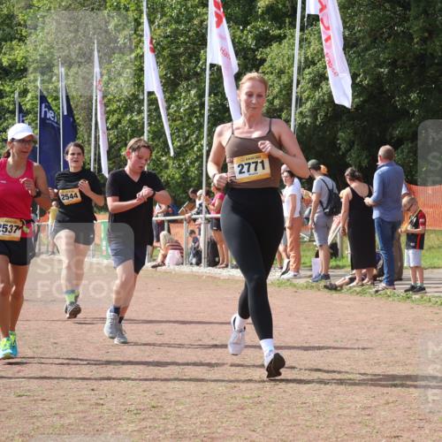 08.09.2024 - Airport Race Strokosch-Dieckow http://msf.ph/oto/6978997 08.09.2024 12:12:18 Ziel 2537, 2544, 2546, 2771, 2824, 3106 meine-sportfotos.de