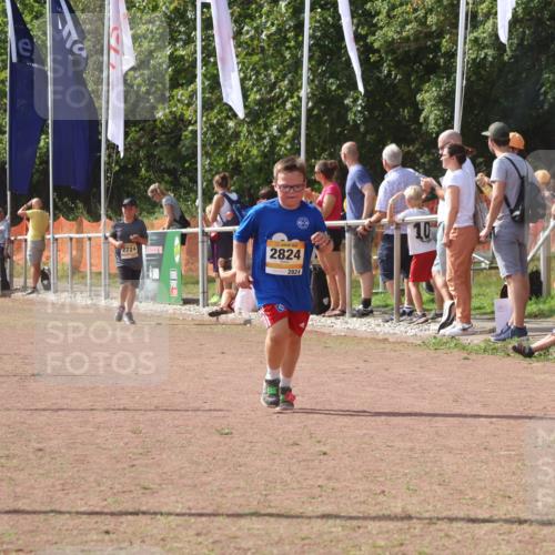 08.09.2024 - Airport Race Strokosch-Dieckow http://msf.ph/oto/6979063 08.09.2024 12:12:24 Ziel 2537, 2544, 2597, 2824, 3106 meine-sportfotos.de