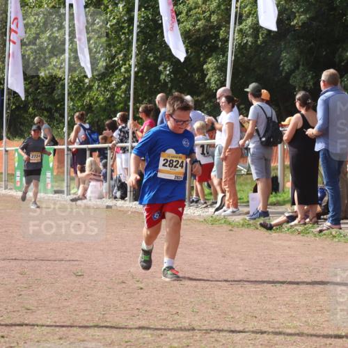 08.09.2024 - Airport Race Strokosch-Dieckow http://msf.ph/oto/6979068 08.09.2024 12:12:25 Ziel 2597, 2824, 2834, 3106 meine-sportfotos.de