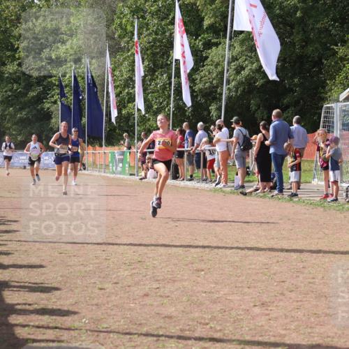 08.09.2024 - Airport Race Strokosch-Dieckow http://msf.ph/oto/6979195 08.09.2024 12:12:39 Ziel 350, 387, 2542, 2653, 2661, 2716, 2721, 2790 meine-sportfotos.de