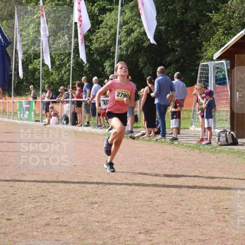 08.09.2024 - Airport Race Strokosch-Dieckow http://msf.ph/oto/6979203 08.09.2024 12:12:40 Ziel 350, 387, 2542, 2653, 2661, 2721, 2790 meine-sportfotos.de