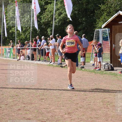 08.09.2024 - Airport Race Strokosch-Dieckow http://msf.ph/oto/6979209 08.09.2024 12:12:40 Ziel 350, 387, 2542, 2653, 2661, 2721, 2790 meine-sportfotos.de