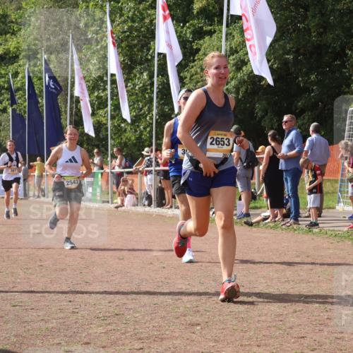 08.09.2024 - Airport Race Strokosch-Dieckow http://msf.ph/oto/6979238 08.09.2024 12:12:43 Ziel 350, 387, 2516, 2542, 2653, 2661 meine-sportfotos.de