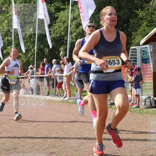 08.09.2024 - Airport Race Strokosch-Dieckow http://msf.ph/oto/6979241 08.09.2024 12:12:43 Ziel 350, 387, 2516, 2542, 2653, 2661 meine-sportfotos.de