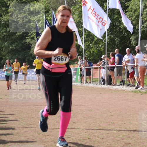 08.09.2024 - Airport Race Strokosch-Dieckow http://msf.ph/oto/6979770 08.09.2024 12:13:39 Ziel 2667, 2693, 2787, 3069, 3154 meine-sportfotos.de