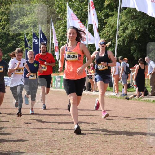 08.09.2024 - Airport Race Strokosch-Dieckow http://msf.ph/oto/6979913 08.09.2024 12:13:59 Ziel 1122, 2636, 2660, 2677, 2832, 3086, 3087 meine-sportfotos.de