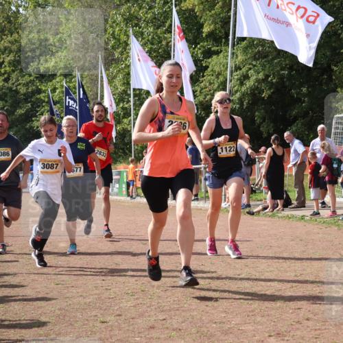 08.09.2024 - Airport Race Strokosch-Dieckow http://msf.ph/oto/6979919 08.09.2024 12:13:59 Ziel 1122, 2636, 2660, 2677, 2832, 3086, 3087 meine-sportfotos.de