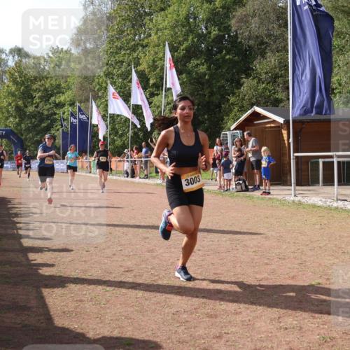 08.09.2024 - Airport Race Strokosch-Dieckow http://msf.ph/oto/6979998 08.09.2024 12:14:13 Ziel 137, 1488, 2521, 2535, 2765, 3003, 3078, 3146 meine-sportfotos.de