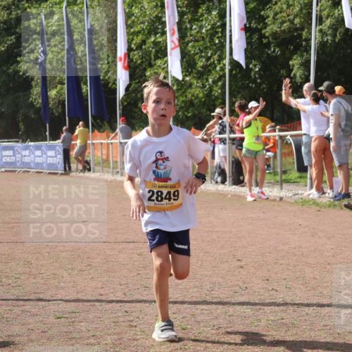 08.09.2024 - Airport Race Strokosch-Dieckow http://msf.ph/oto/6980426 08.09.2024 12:14:56 Ziel 216, 2637, 2849 meine-sportfotos.de