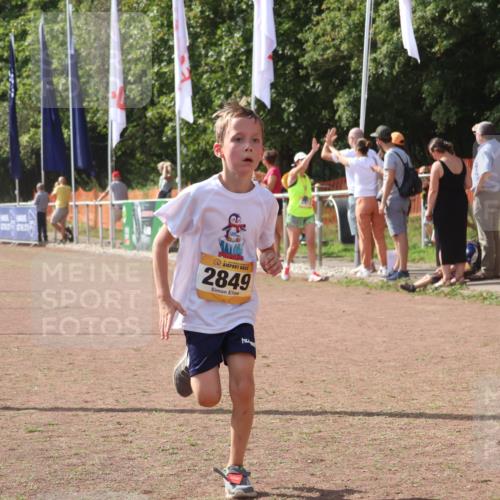 08.09.2024 - Airport Race Strokosch-Dieckow http://msf.ph/oto/6980431 08.09.2024 12:14:56 Ziel 216, 2637, 2849 meine-sportfotos.de
