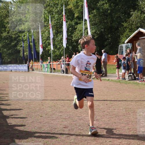 08.09.2024 - Airport Race Strokosch-Dieckow http://msf.ph/oto/6980439 08.09.2024 12:14:57 Ziel 216, 2849 meine-sportfotos.de