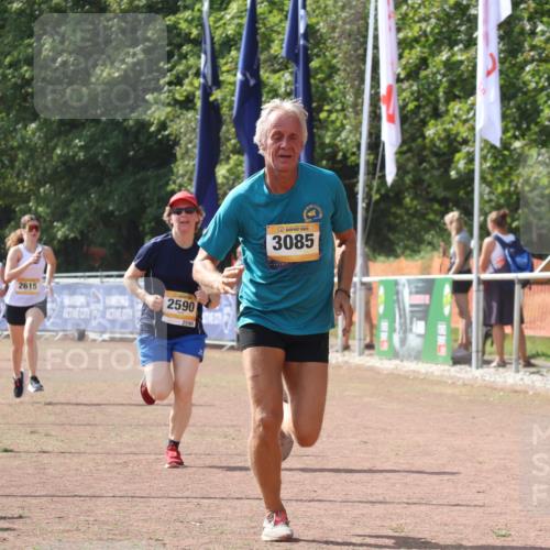 08.09.2024 - Airport Race Strokosch-Dieckow http://msf.ph/oto/6980503 08.09.2024 12:15:21 Ziel 175, 218, 1290, 2590, 2615, 3085 meine-sportfotos.de