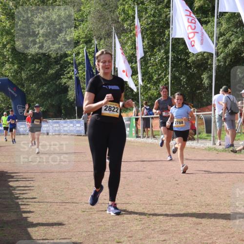 08.09.2024 - Airport Race Strokosch-Dieckow http://msf.ph/oto/6980676 08.09.2024 12:15:34 Ziel 73, 2545, 2630, 2788, 2822, 2888, 3072 meine-sportfotos.de