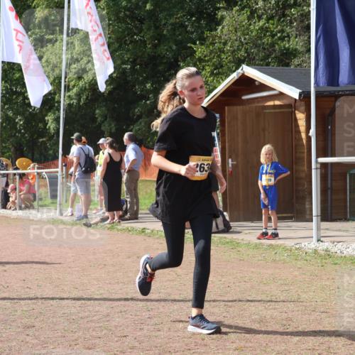 08.09.2024 - Airport Race Strokosch-Dieckow http://msf.ph/oto/6980728 08.09.2024 12:15:37 Ziel 73, 974, 2630, 2788, 2822, 2850, 2888, 3072 meine-sportfotos.de