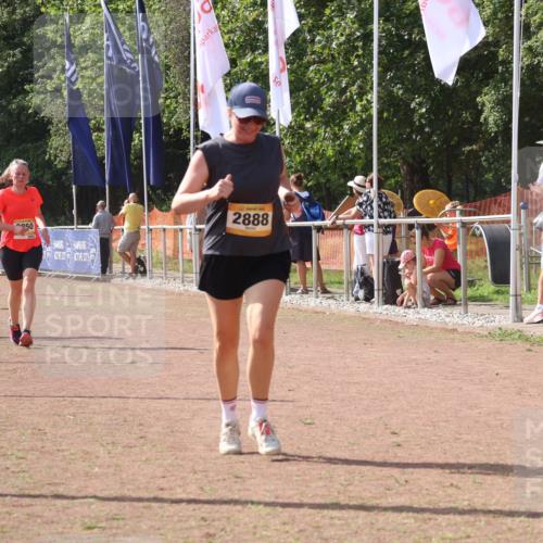 08.09.2024 - Airport Race Strokosch-Dieckow http://msf.ph/oto/6980731 08.09.2024 12:15:38 Ziel 73, 974, 2630, 2788, 2822, 2850, 2888, 3072 meine-sportfotos.de