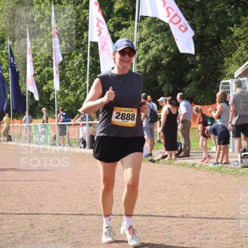 08.09.2024 - Airport Race Strokosch-Dieckow http://msf.ph/oto/6980748 08.09.2024 12:15:39 Ziel 73, 974, 2533, 2630, 2850, 2888, 3072 meine-sportfotos.de