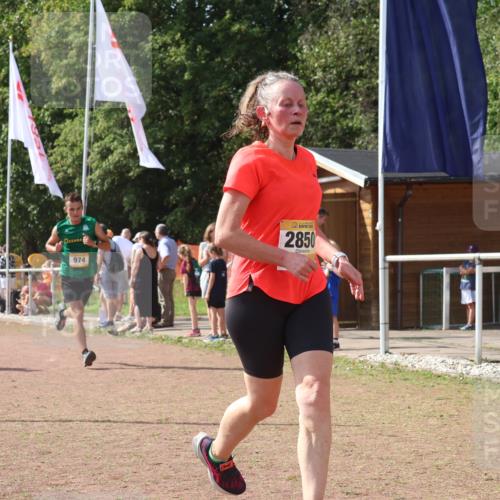 08.09.2024 - Airport Race Strokosch-Dieckow http://msf.ph/oto/6980796 08.09.2024 12:15:45 Ziel 18, 239, 974, 2533, 2578, 2850, 2861, 3072, 3150 meine-sportfotos.de