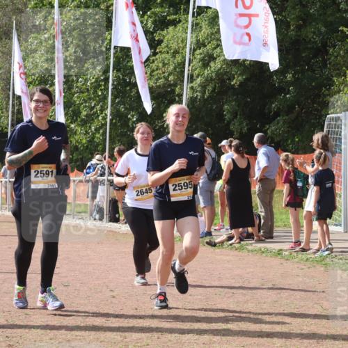 08.09.2024 - Airport Race Strokosch-Dieckow http://msf.ph/oto/6981004 08.09.2024 12:15:58 Ziel 225, 276, 2540, 2541, 2543, 2591, 2595, 2604, 2645, 2854, 3057 meine-sportfotos.de