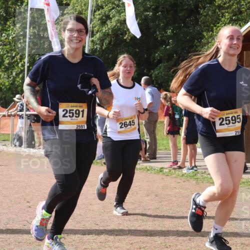 08.09.2024 - Airport Race Strokosch-Dieckow http://msf.ph/oto/6981014 08.09.2024 12:15:59 Ziel 225, 276, 1020, 2540, 2541, 2543, 2591, 2595, 2604, 2645, 2854, 3057 meine-sportfotos.de