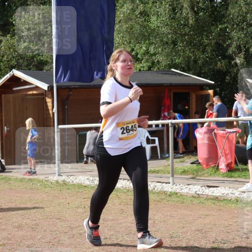 08.09.2024 - Airport Race Strokosch-Dieckow http://msf.ph/oto/6981029 08.09.2024 12:16:01 Ziel 225, 276, 1020, 2540, 2541, 2543, 2591, 2595, 2604, 2645, 2799, 2827, 2854, 3057 meine-sportfotos.de