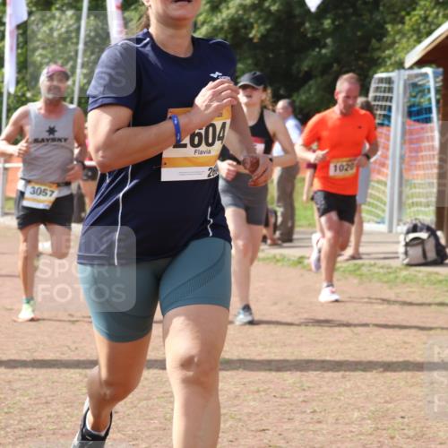 08.09.2024 - Airport Race Strokosch-Dieckow http://msf.ph/oto/6981122 08.09.2024 12:16:07 Ziel 225, 1020, 2540, 2541, 2543, 2586, 2604, 2799, 2802, 2804, 2827, 3057 meine-sportfotos.de