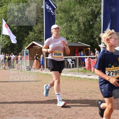 08.09.2024 - Airport Race Strokosch-Dieckow http://msf.ph/oto/6981227 08.09.2024 12:16:13 Ziel 2586, 2799, 2802, 2804 meine-sportfotos.de