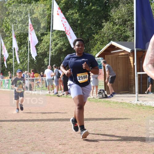 08.09.2024 - Airport Race Strokosch-Dieckow http://msf.ph/oto/6981422 08.09.2024 12:16:44 Ziel 158, 688, 2561, 2598, 2780 meine-sportfotos.de