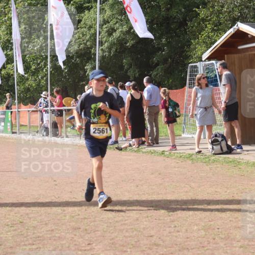08.09.2024 - Airport Race Strokosch-Dieckow http://msf.ph/oto/6981430 08.09.2024 12:16:45 Ziel 158, 688, 2561, 2598 meine-sportfotos.de