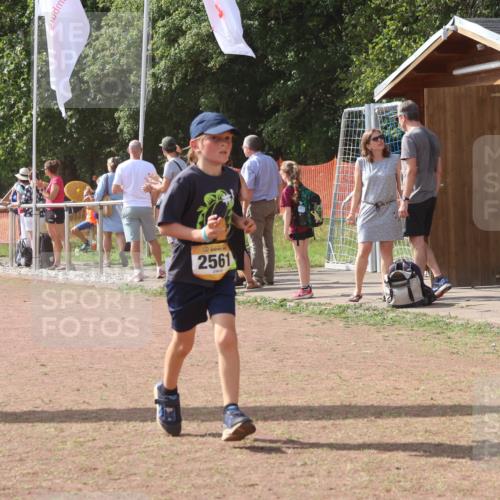 08.09.2024 - Airport Race Strokosch-Dieckow http://msf.ph/oto/6981436 08.09.2024 12:16:46 Ziel 688, 2561, 2598 meine-sportfotos.de