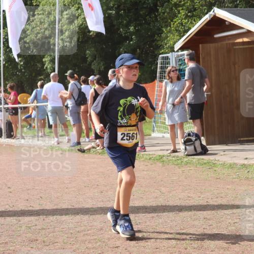 08.09.2024 - Airport Race Strokosch-Dieckow http://msf.ph/oto/6981442 08.09.2024 12:16:46 Ziel 688, 2561, 2598 meine-sportfotos.de