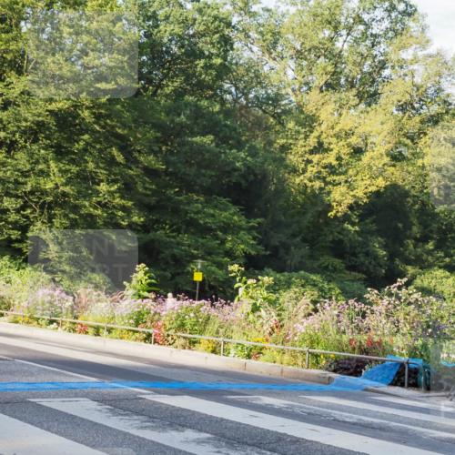 08.09.2024 - Stadtparktriathlon Zöllner http://msf.ph/oto/6981563 08.09.2024 09:11:33 Radfahren 7, 13, 42 meine-sportfotos.de