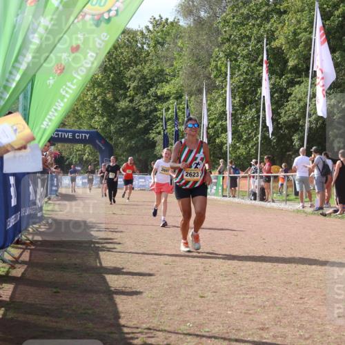 08.09.2024 - Airport Race Strokosch-Dieckow http://msf.ph/oto/6981843 08.09.2024 12:17:29 Ziel 1157, 1224, 2623, 2663, 2664, 2697 meine-sportfotos.de