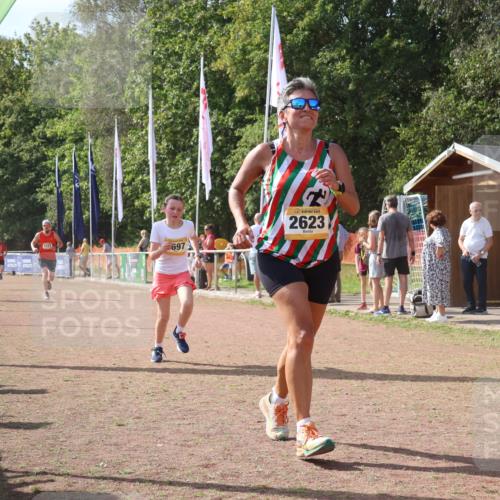 08.09.2024 - Airport Race Strokosch-Dieckow http://msf.ph/oto/6981881 08.09.2024 12:17:31 Ziel 595, 1007, 1157, 2623, 2663, 2664, 2697 meine-sportfotos.de