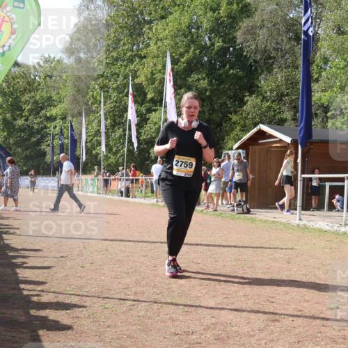 08.09.2024 - Airport Race Strokosch-Dieckow http://msf.ph/oto/6982034 08.09.2024 12:17:43 Ziel 1007, 1022, 2565, 2759, 2877 meine-sportfotos.de