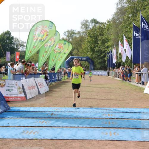 08.09.2024 - Airport Race Strokosch-Dieckow http://msf.ph/oto/6982375 08.09.2024 12:01:55 Ziel 2522, 2529, 2570, 2648, 2685 meine-sportfotos.de