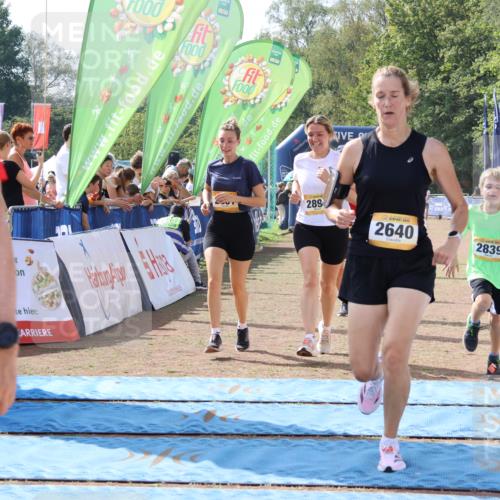 08.09.2024 - Airport Race Strokosch-Dieckow http://msf.ph/oto/6982489 08.09.2024 12:13:12 Ziel 50, 1012, 2504, 2592, 2640, 2668, 2839, 2851, 2869, 2897 meine-sportfotos.de