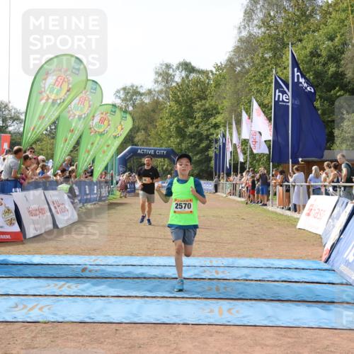 08.09.2024 - Airport Race Strokosch-Dieckow http://msf.ph/oto/6982495 08.09.2024 12:02:02 Ziel 2522, 2570, 2648, 2684 meine-sportfotos.de