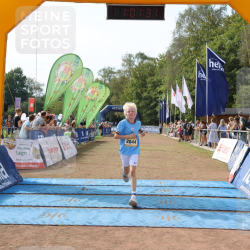 08.09.2024 - Airport Race Strokosch-Dieckow http://msf.ph/oto/6982590 08.09.2024 12:02:12 Ziel 585, 2684, 2844 meine-sportfotos.de