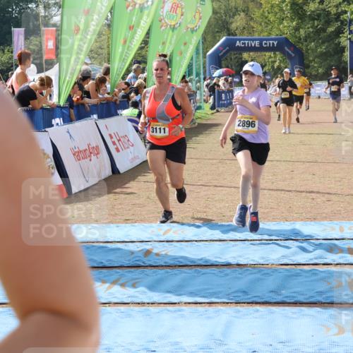 08.09.2024 - Airport Race Strokosch-Dieckow http://msf.ph/oto/6982775 08.09.2024 12:13:33 Ziel 888, 2596, 2609, 2766, 2769, 2770, 2793, 2805, 2847, 2896, 3111, 3125 meine-sportfotos.de