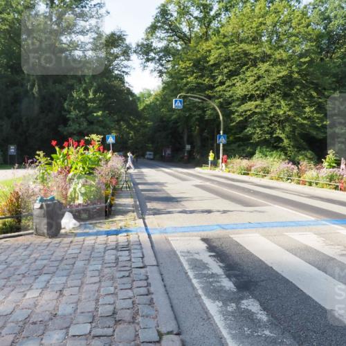 08.09.2024 - Stadtparktriathlon Zöllner http://msf.ph/oto/6983151 08.09.2024 09:29:14 Radfahren 99, 121 meine-sportfotos.de