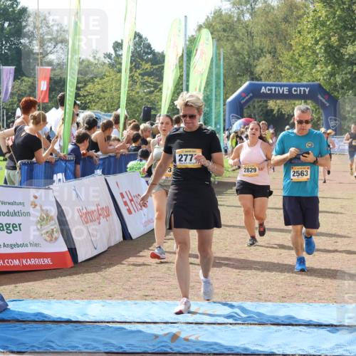 08.09.2024 - Airport Race Strokosch-Dieckow http://msf.ph/oto/6983526 08.09.2024 12:14:44 Ziel 926, 2563, 2605, 2673, 2777, 2829 meine-sportfotos.de