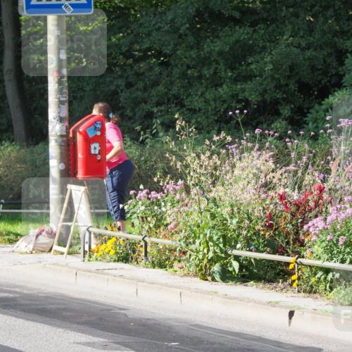 08.09.2024 - Stadtparktriathlon Zöllner http://msf.ph/oto/6984346 08.09.2024 09:51:58 Radfahren 204 meine-sportfotos.de