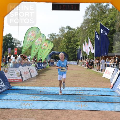 08.09.2024 - Airport Race Strokosch-Dieckow http://msf.ph/oto/6985197 08.09.2024 12:02:12 Ziel 585, 2684, 2844 meine-sportfotos.de