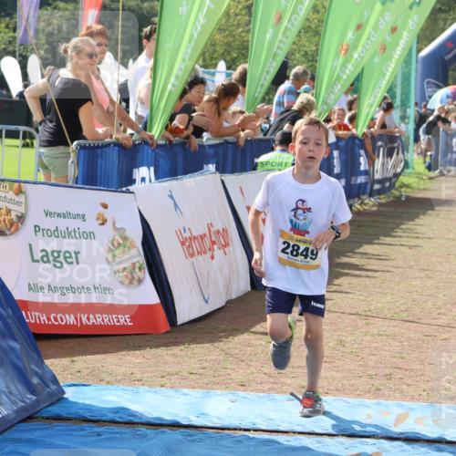 08.09.2024 - Airport Race Strokosch-Dieckow http://msf.ph/oto/6985308 08.09.2024 12:15:02 Ziel 216, 396, 2513, 2637, 2689, 2794, 2849, 3121 meine-sportfotos.de