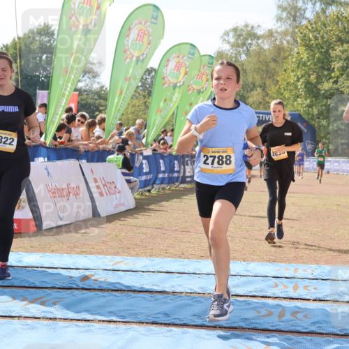 08.09.2024 - Airport Race Strokosch-Dieckow http://msf.ph/oto/6985570 08.09.2024 12:15:42 Ziel 73, 175, 1290, 2545, 2630, 2788, 2822, 2888, 3072 meine-sportfotos.de