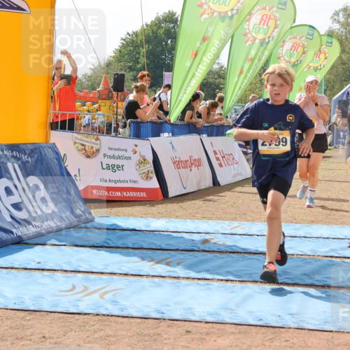 08.09.2024 - Airport Race Strokosch-Dieckow http://msf.ph/oto/6985834 08.09.2024 12:16:17 Ziel 225, 276, 1020, 2540, 2541, 2543, 2586, 2604, 2799, 2802, 2804, 2827, 2854, 3057 meine-sportfotos.de