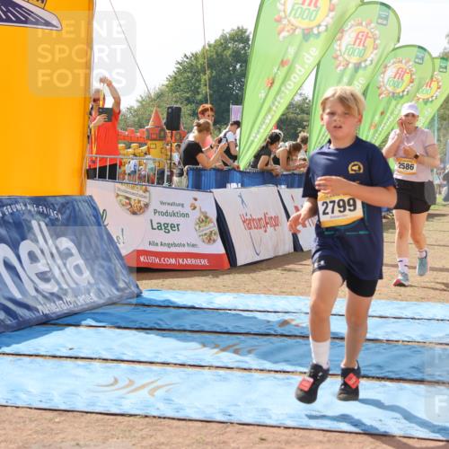 08.09.2024 - Airport Race Strokosch-Dieckow http://msf.ph/oto/6985839 08.09.2024 12:16:17 Ziel 225, 276, 1020, 2540, 2541, 2543, 2586, 2604, 2799, 2802, 2804, 2827, 2854, 3057 meine-sportfotos.de